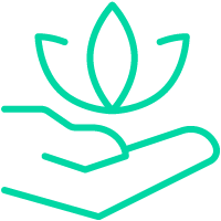 Wellness services category