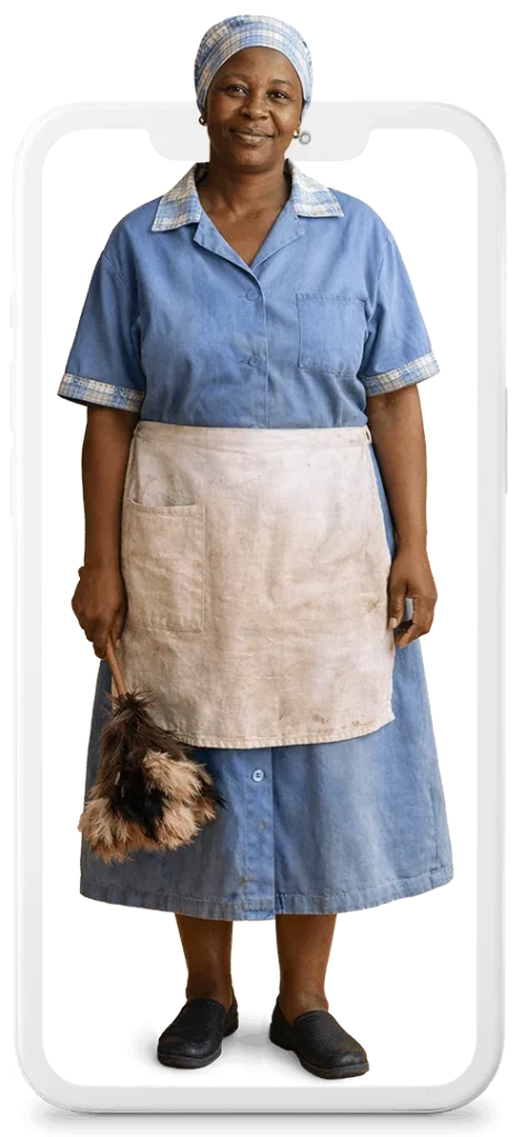 Offer domestic cleaning services in your area